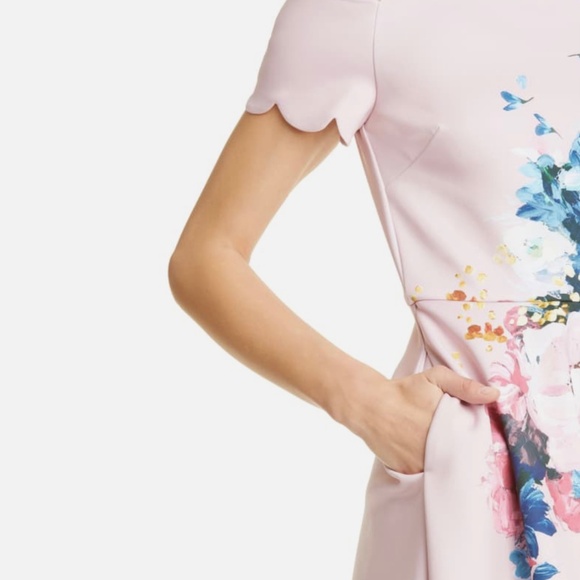 NWT Ted Baker Dress Raspbery Bardot Skater  size:5,  light pink,  painted flower - Picture 5 of 11